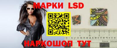 СК Будённовск