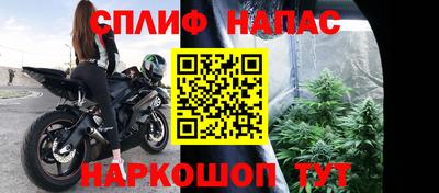СК Будённовск
