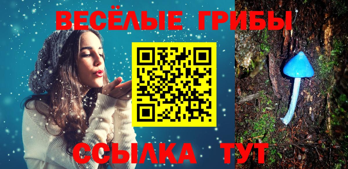 Галлюциногенные грибы прущие грибы  Вход с VPN  Холмск 